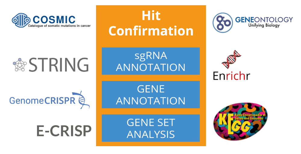CRISPRAnalyzeR_gene_annotation.png
